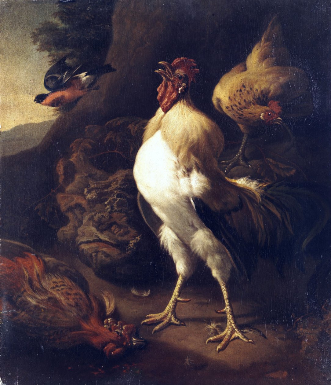 Proud rooster. av Unbekannt Unbekannt