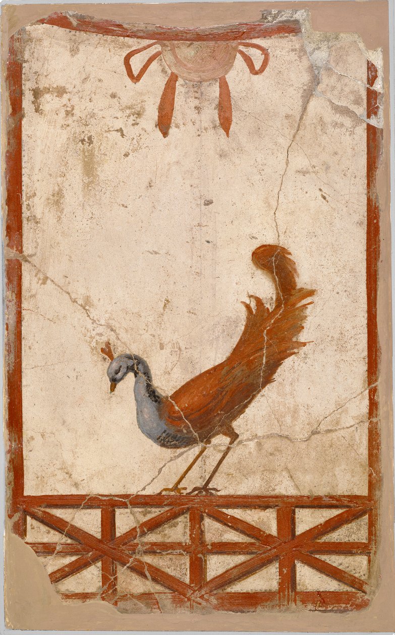 Wall Fragment with a Peacock av Unbekannt Unbekannt