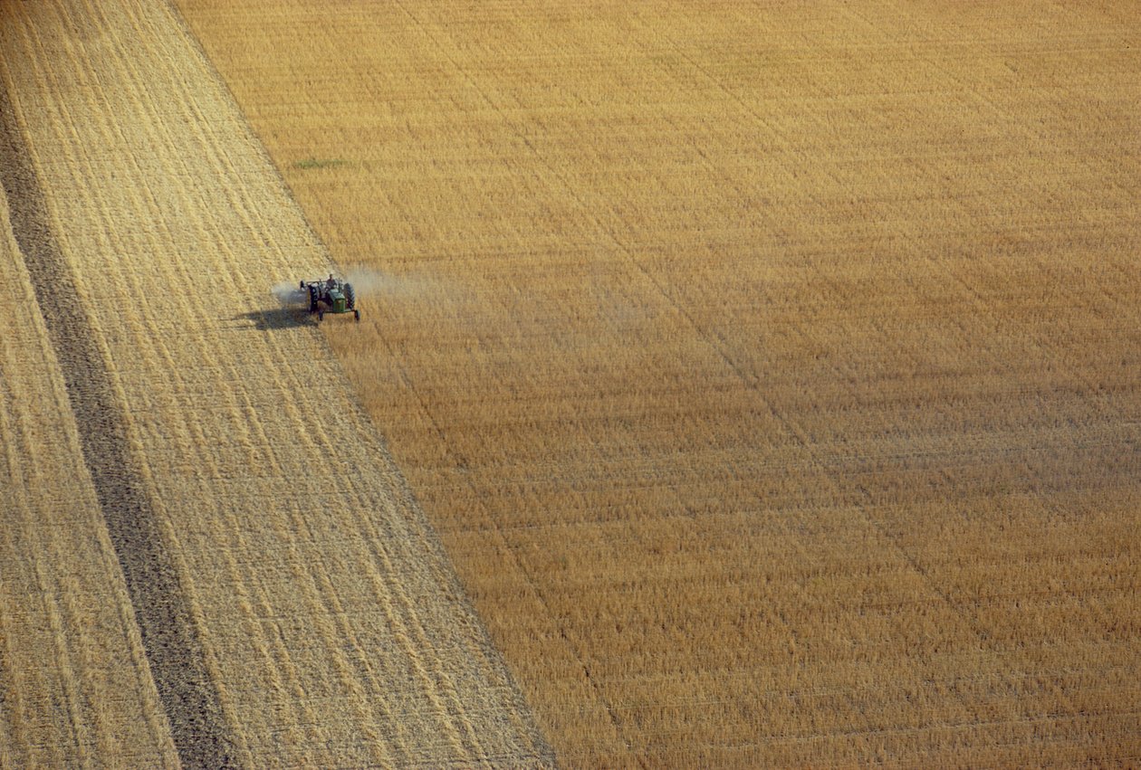 En traktor som skördar av Unbekannt Unbekannt