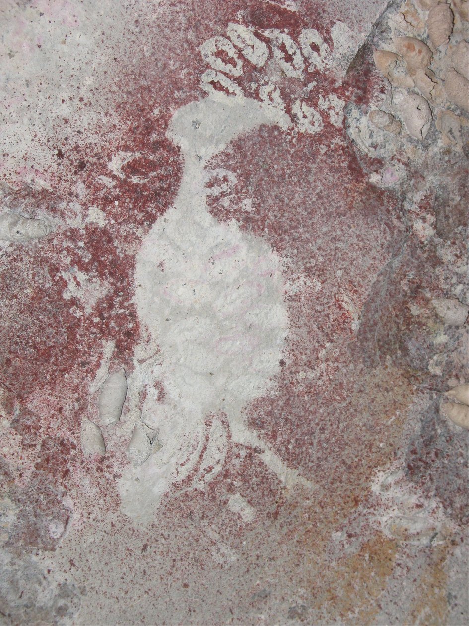 Fågelstencil 4 av Unbekannt Unbekannt