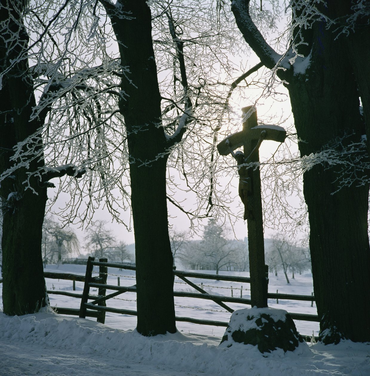 Korsa i snön nära Winterberg, Tyskland av Unbekannt Unbekannt