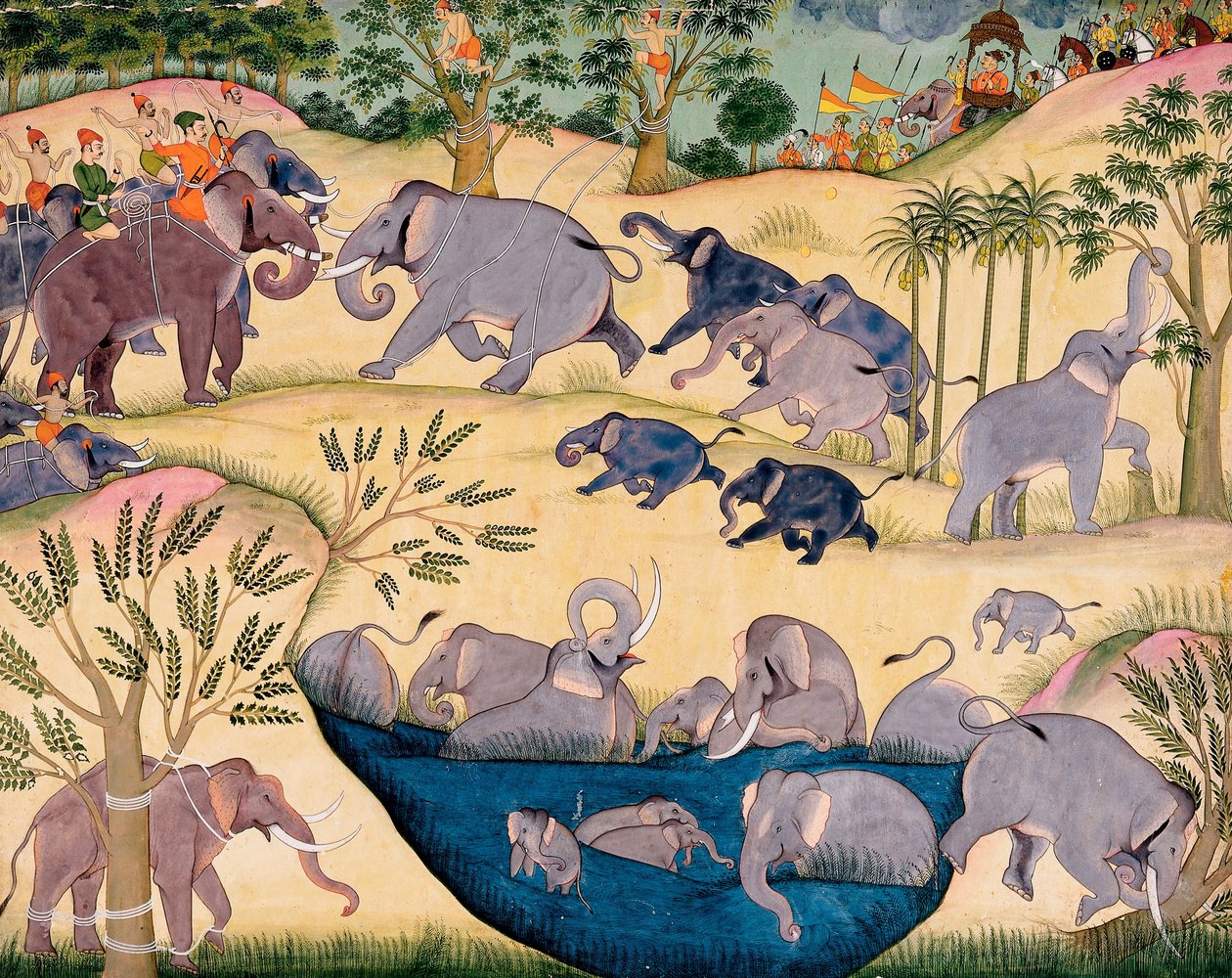 Elephant Hunt of Maharaja Anup Singh of Bikaner av Unbekannt Unbekannt