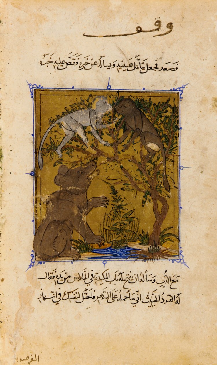 Folio från en Sulwan al-Muta (nöjesnöje) av Ibn Zafar; verso- Berättelsen om björnen och m ... av Unbekannt Unbekannt