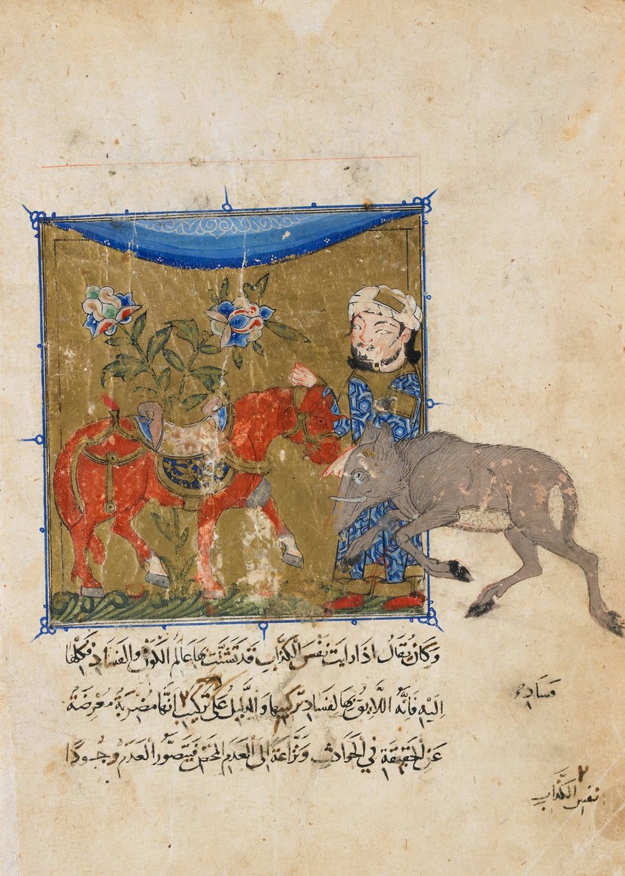 Folio från en Sulwan al-Muta av Ibn Zafar; tvärtom- vildsvinet och hästen av Unbekannt Unbekannt