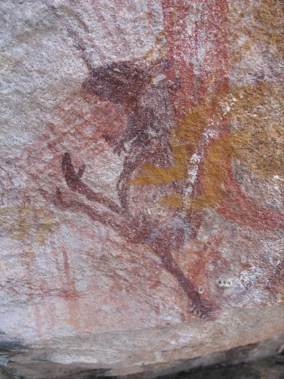 Liten lila wallaby av Unbekannt Unbekannt
