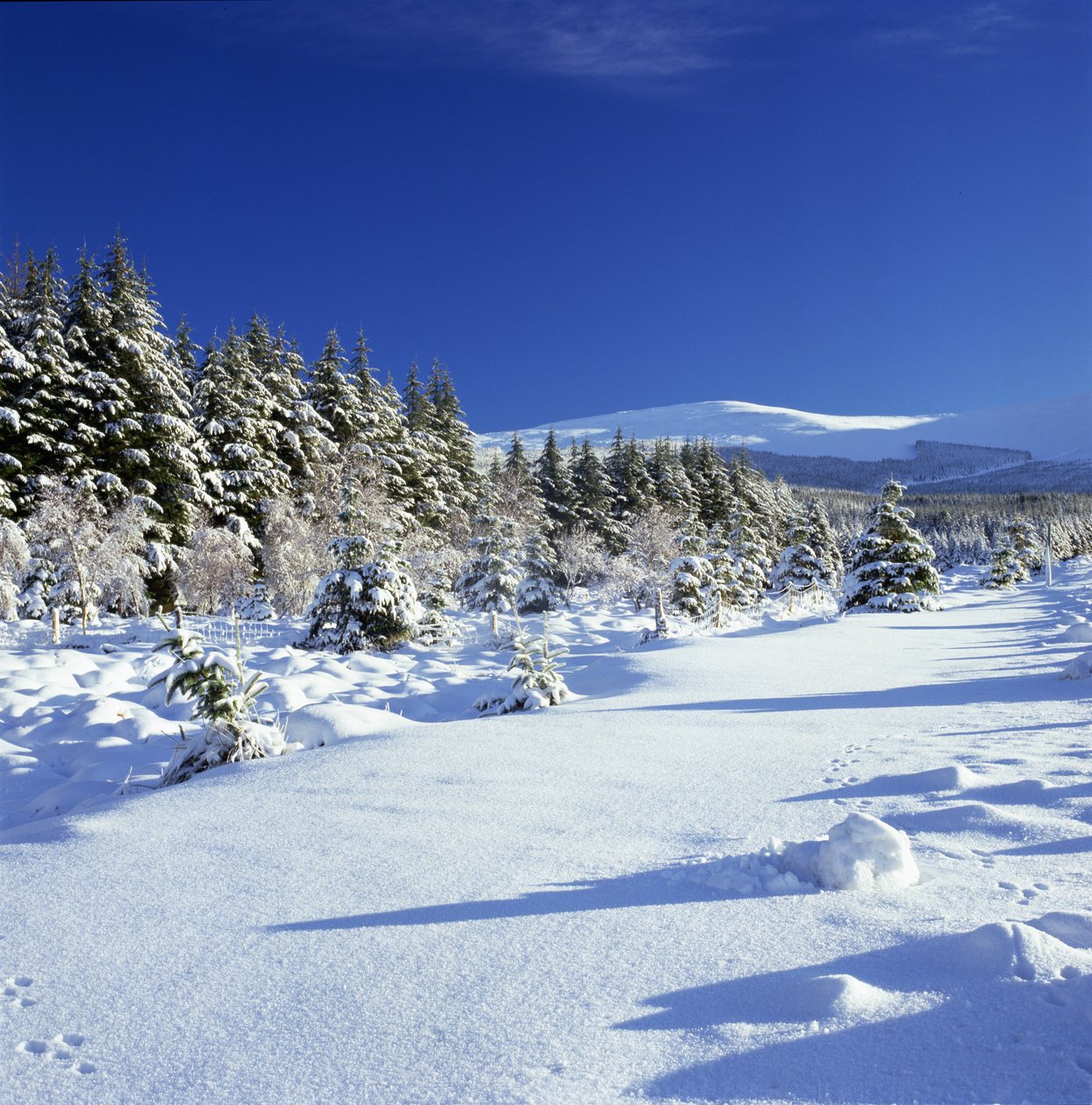 Wicklow Mountains på vintern av Unbekannt Unbekannt