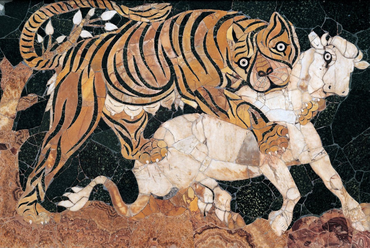 Tiger attackerar en kalv av Unbekannt Unbekannt