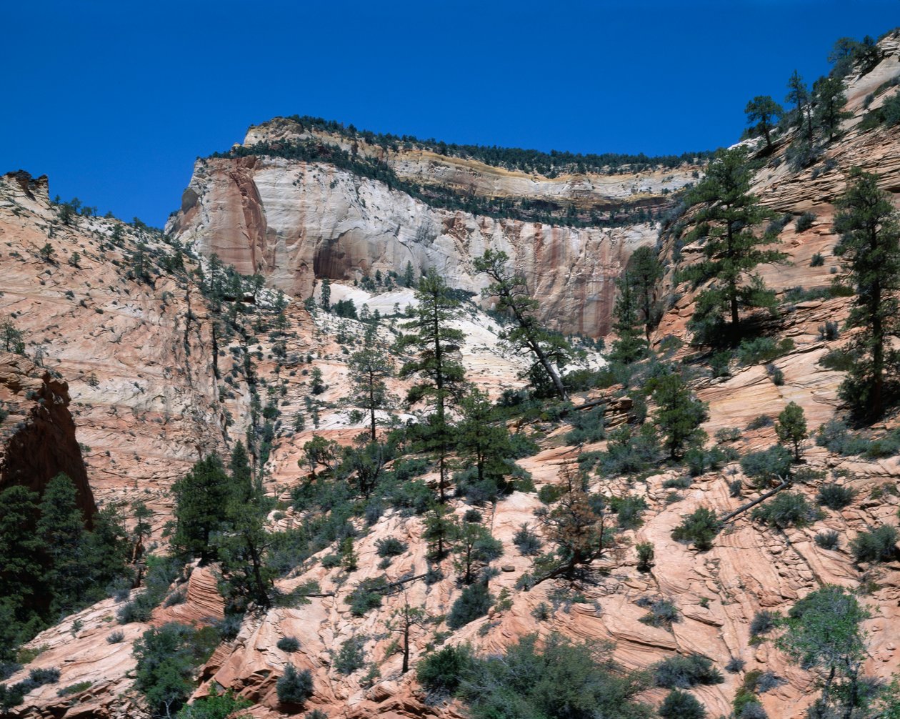 Zion National Park, Utah av Unbekannt Unbekannt