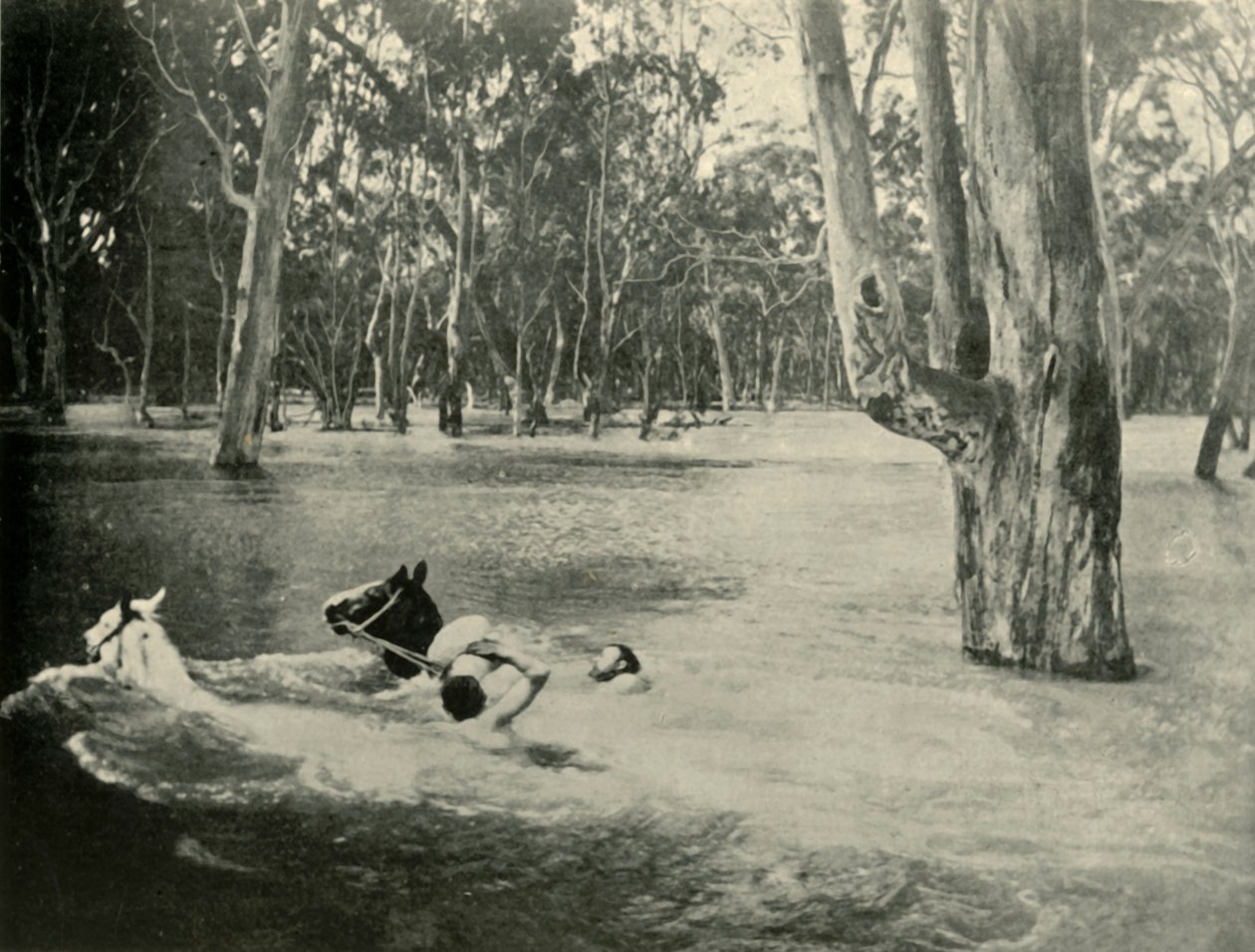 En bankman, 1901. av Unbekannt