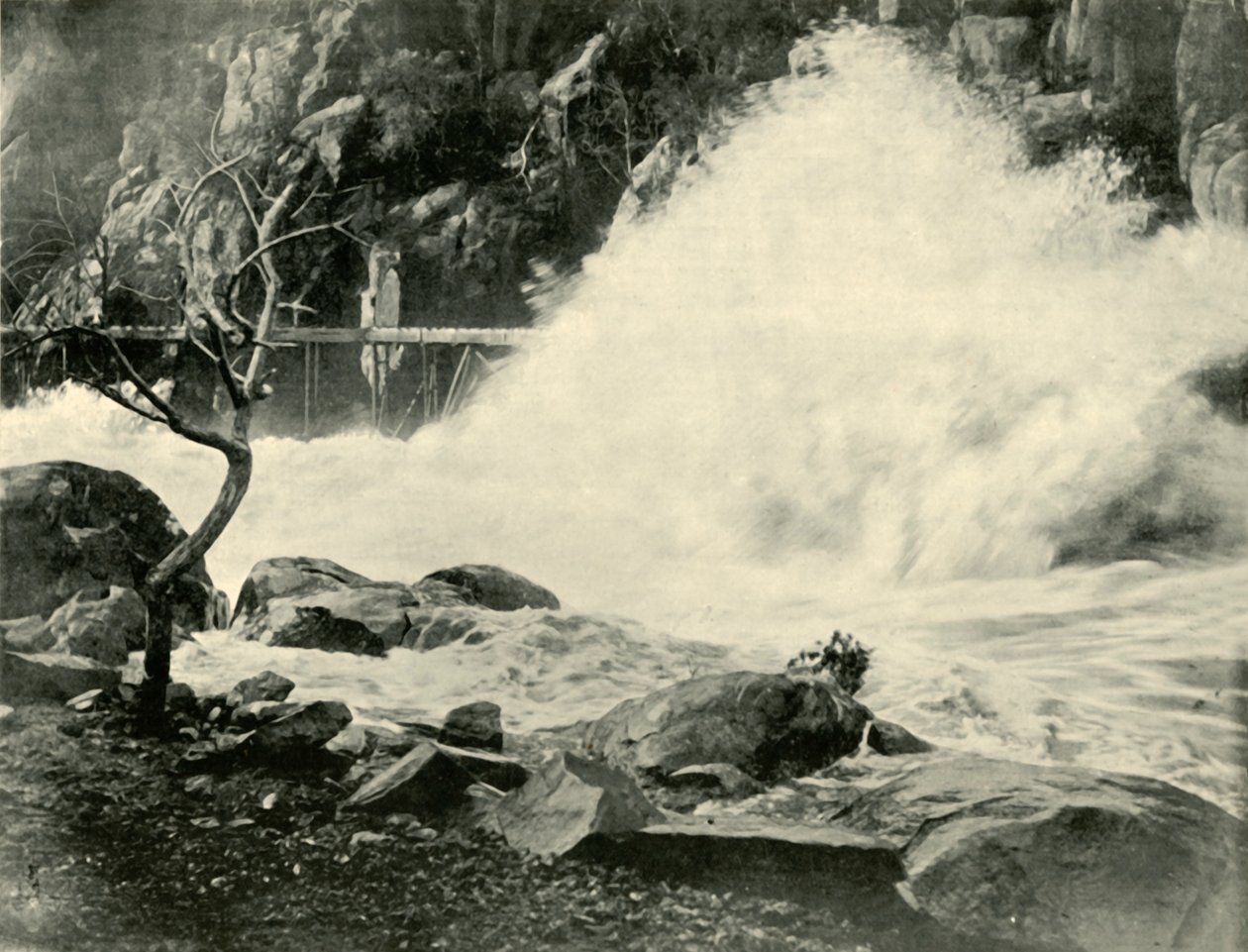 En stor våg i Cataract Gorge, nära Launceston, 1901. av Unbekannt