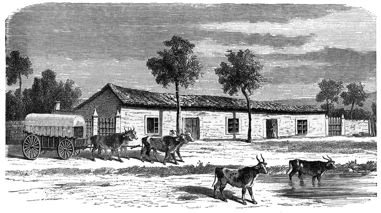 En boergård, Sydafrika, c1890 av Unbekannt