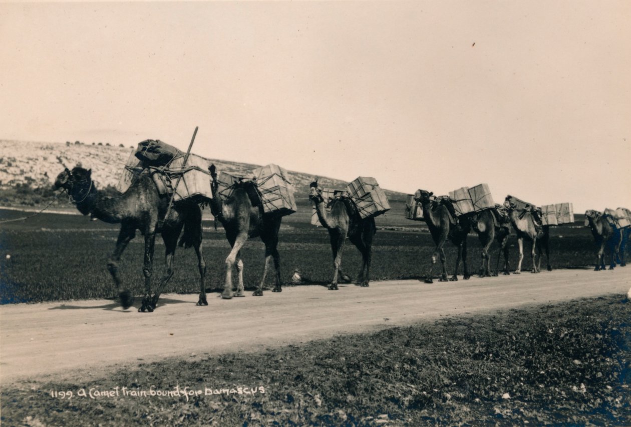 Ett kameltåg på väg till Damaskus, 1936 av Unbekannt
