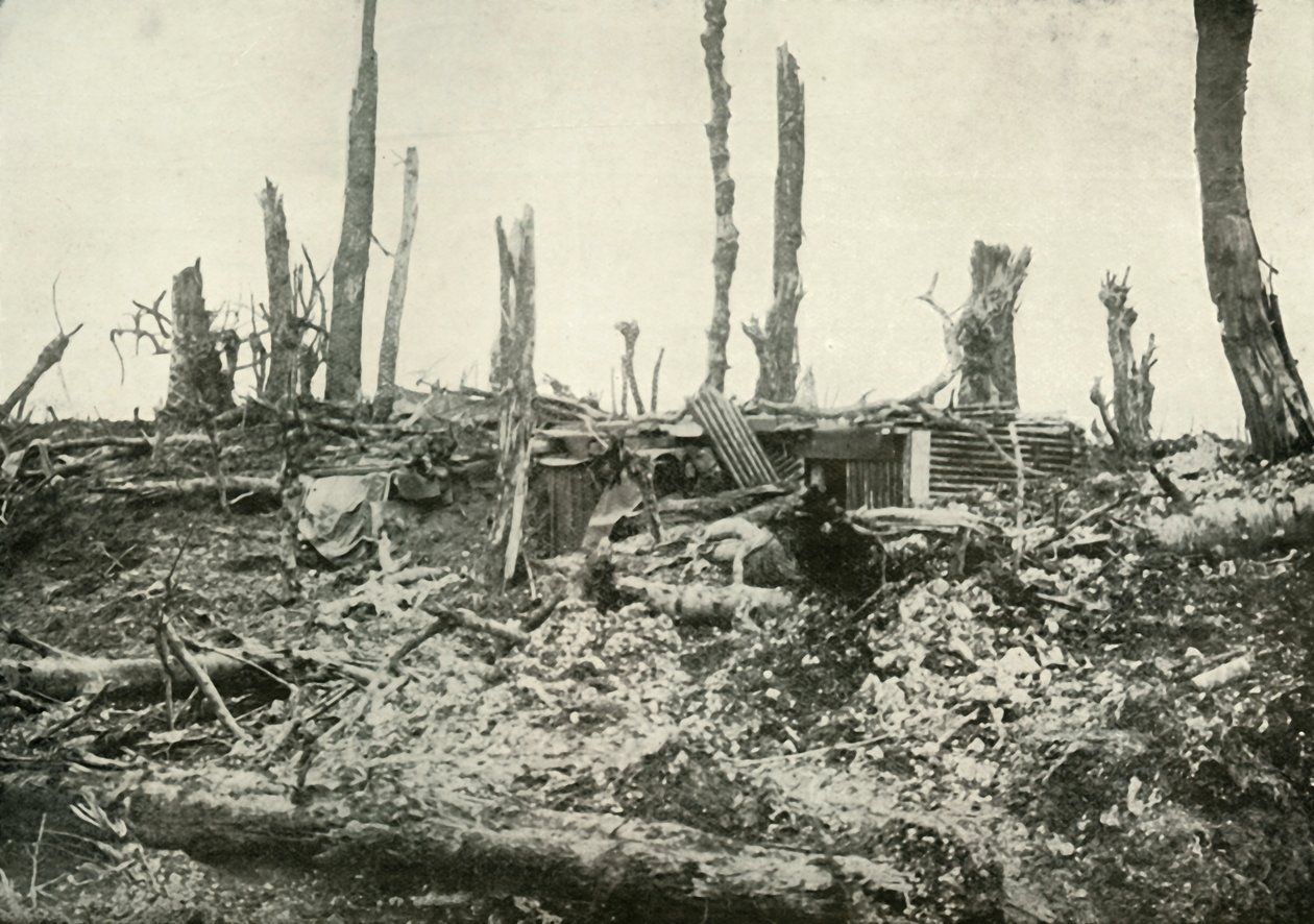 A Dug-Out in What Was Once A Sylvan Wood, 1919. av Unbekannt