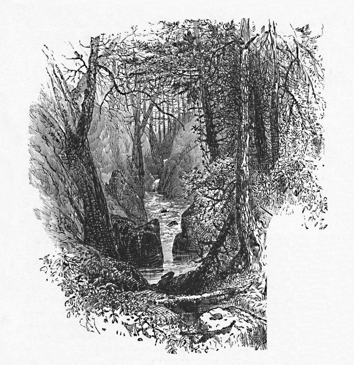 En matare till sjön, 1883 av Unbekannt