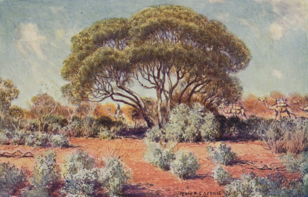 En bördig plats i centrala Australien, 1923. av Unbekannt