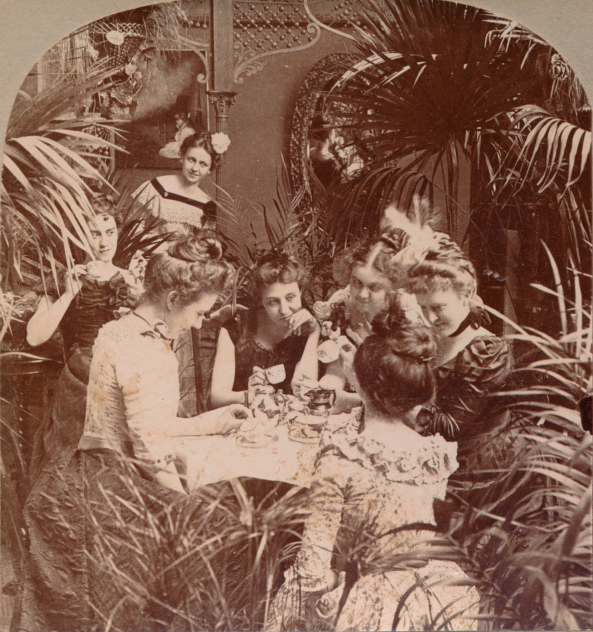 En förmögenhet i en tekopp, 1901 av Unbekannt
