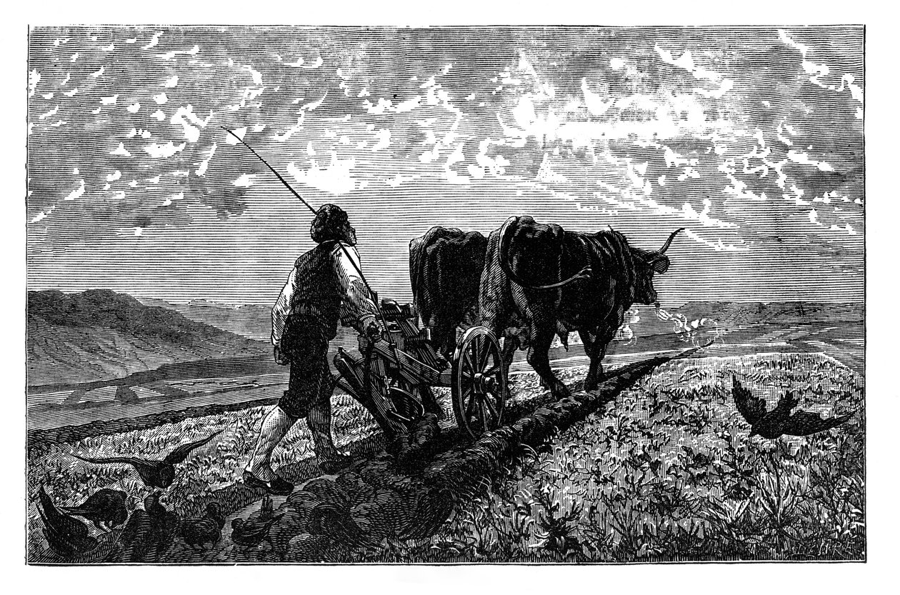 En fransk jordbrukare, ca 1890 av Unbekannt