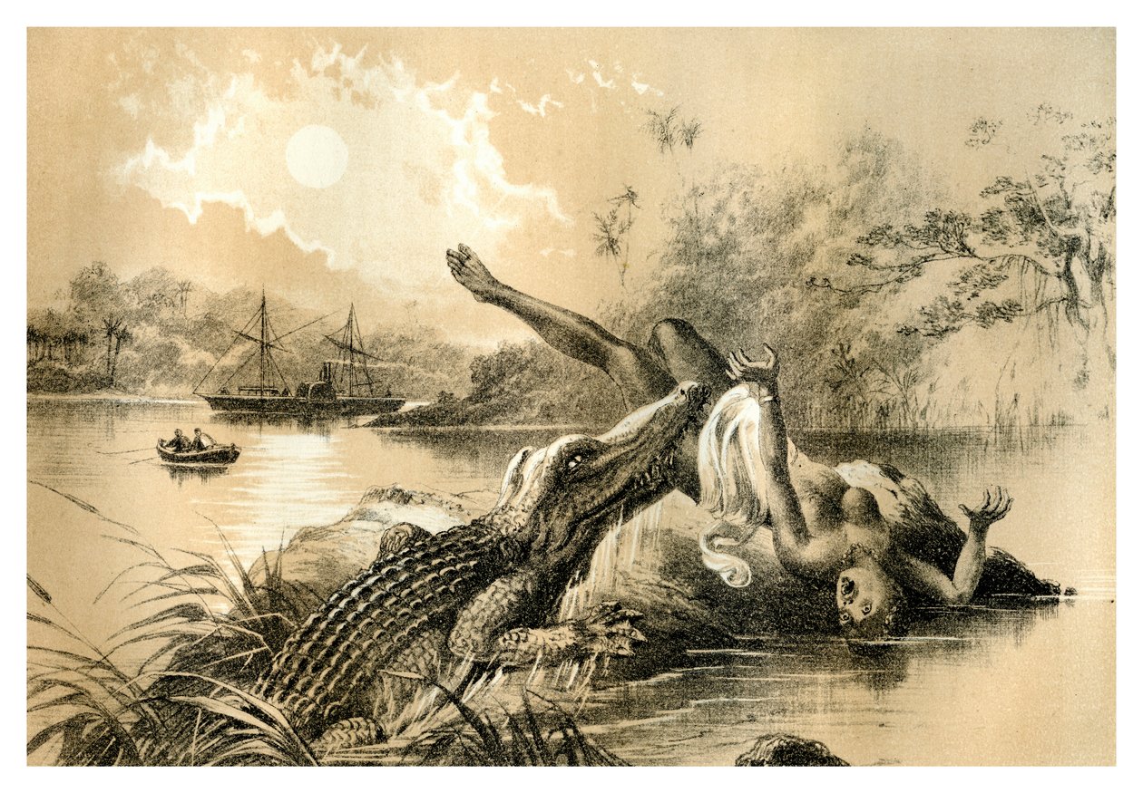 En skrämmande incident, 1883 av Unbekannt