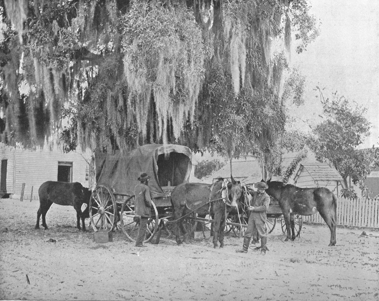 En köpman från San Antonio, Texas, USA, c1900. av Unbekannt