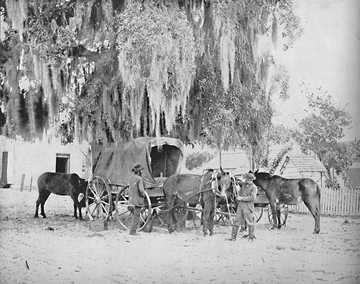 En köpman från San Antonio, Texas, c1897. av Unbekannt