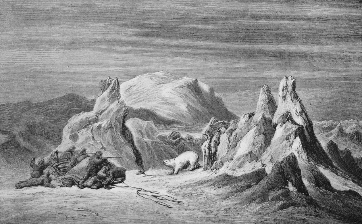 A Party from the Tegetthoff Encounters A Bear, c1876, 1928 av Unbekannt