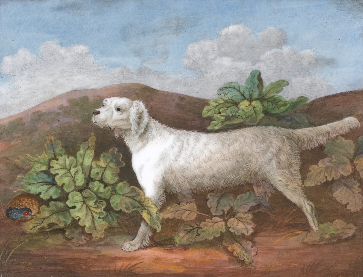 En setter: vänd åt vänster, med en rapphöna som gömmer sig bland kardborrar till vänster, ca. 1805. av Unbekannt