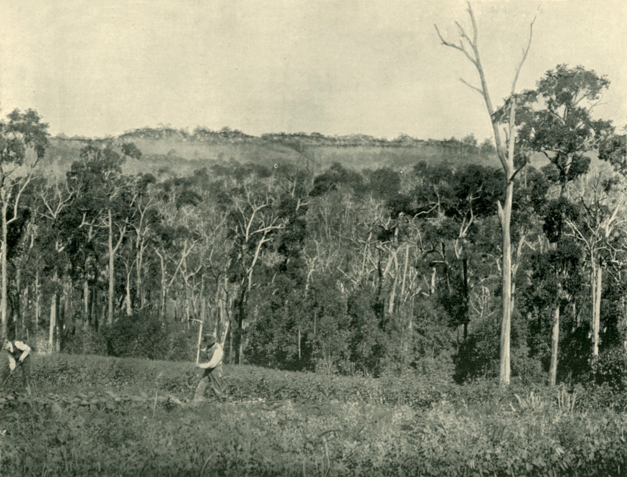 En viktoriansk bergsgård, 1901. av Unbekannt