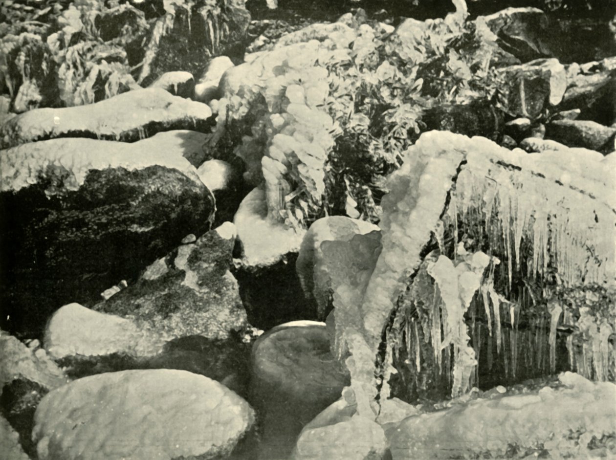 En vinterscen i New England, 1901. av Unbekannt
