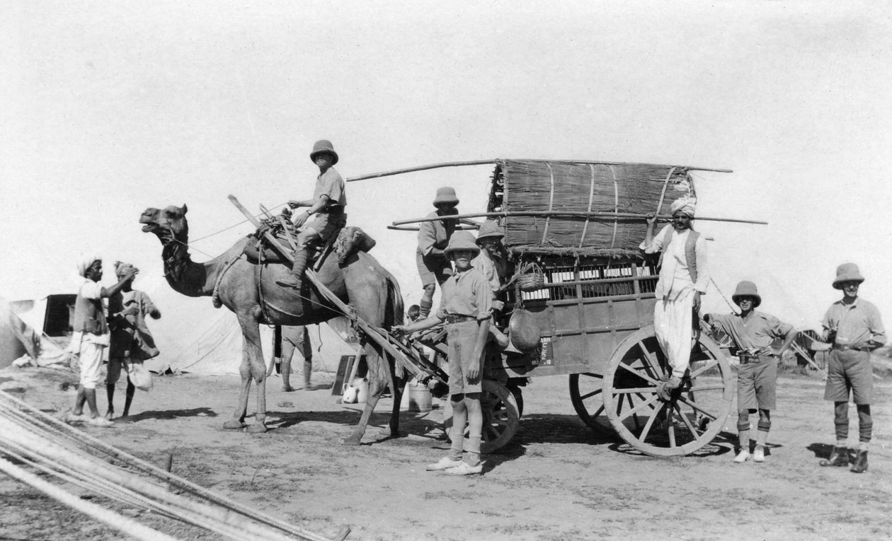 En kamelvagn, Indien, 1916-1917 av Unbekannt