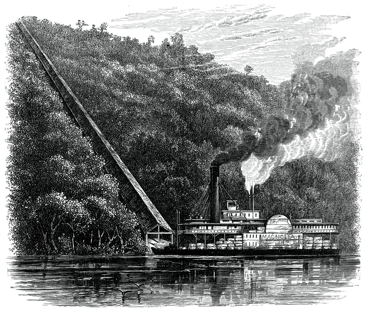 En bomullsränna, USA, c1880 av Unbekannt