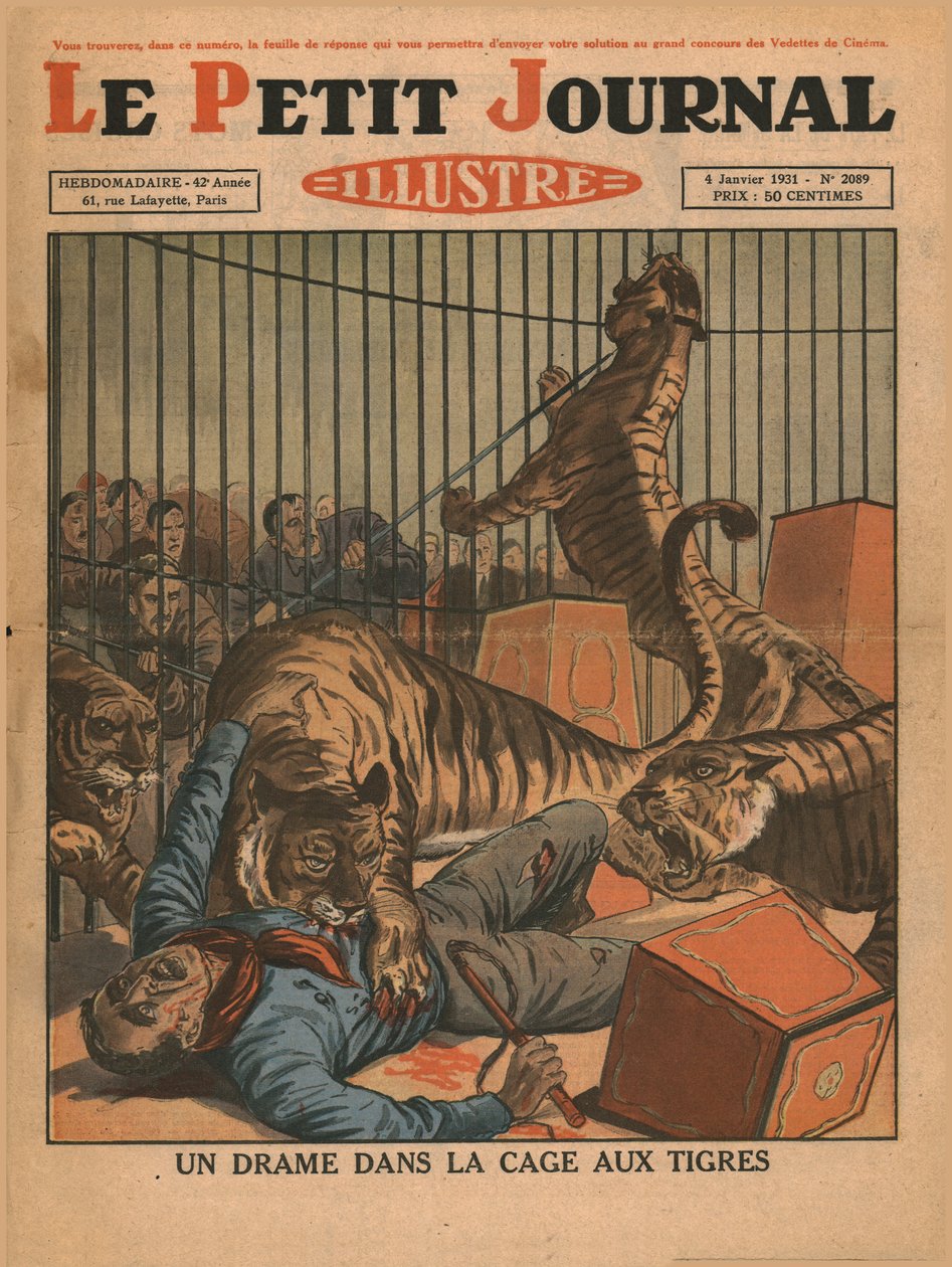 Ett drama i tigerburen, 1931. av Unbekannt