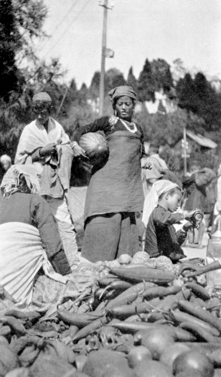 En matmarknad i Darjeeling, Västbengalen, Indien, c1910 av Unbekannt