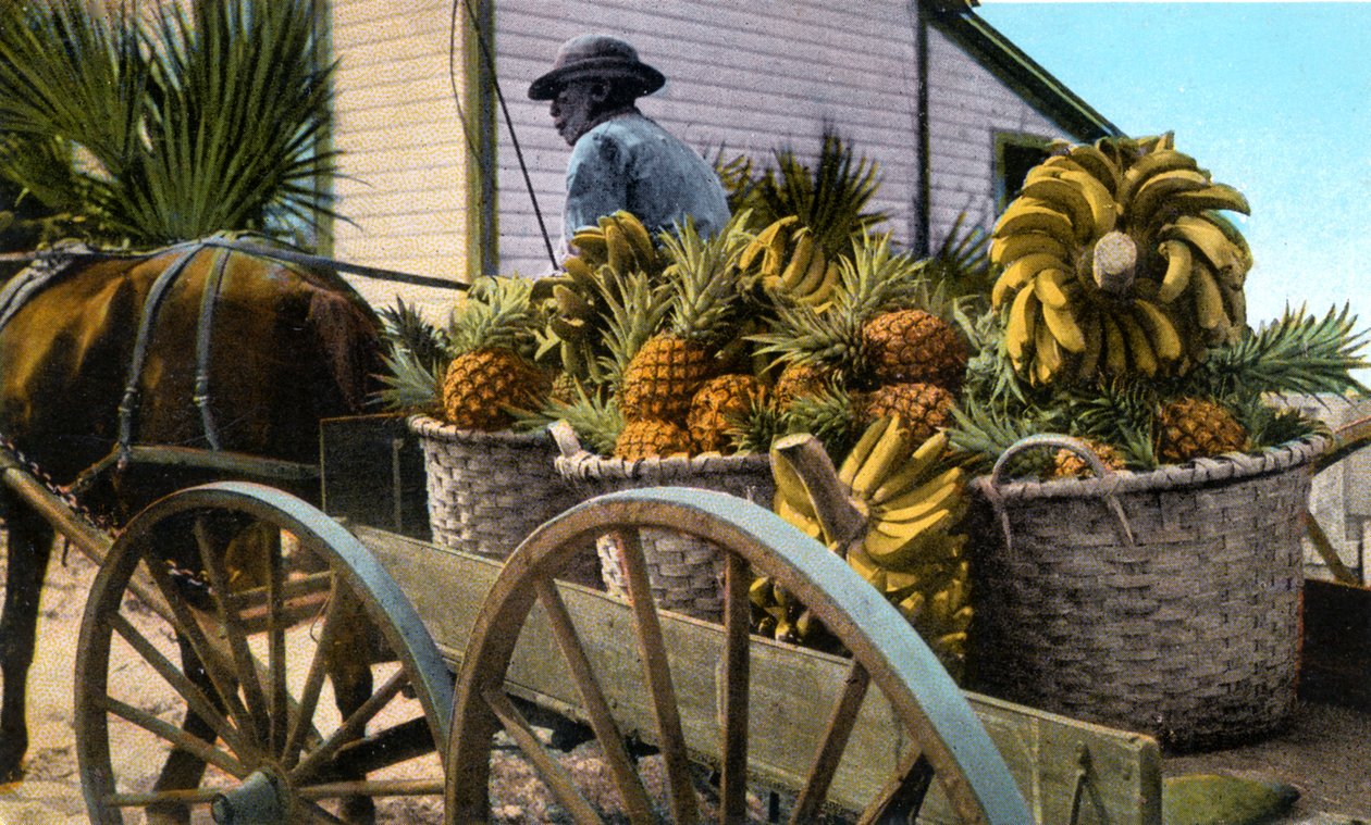 En frukthandlare, Taboga Island, Panama, tidigt 1900-tal av Unbekannt