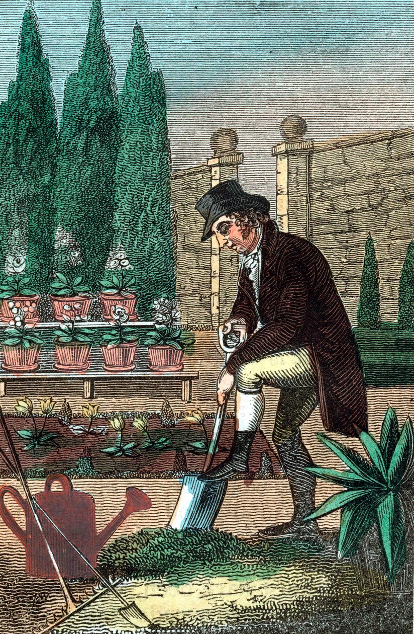 En trädgårdsmästare som gräver med en spade, 1821 av Unbekannt