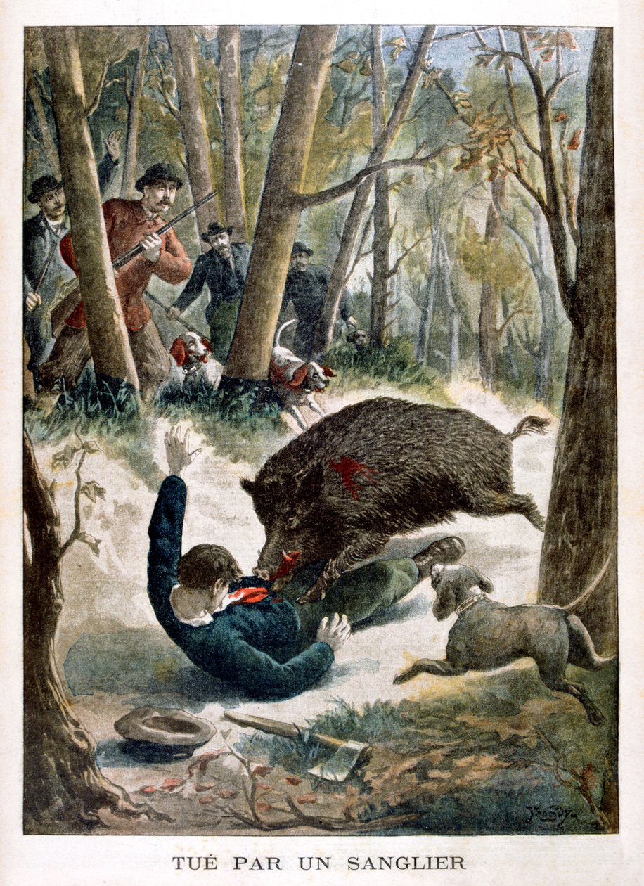 En jägare dödad av ett vildsvin, 1901 av Unbekannt
