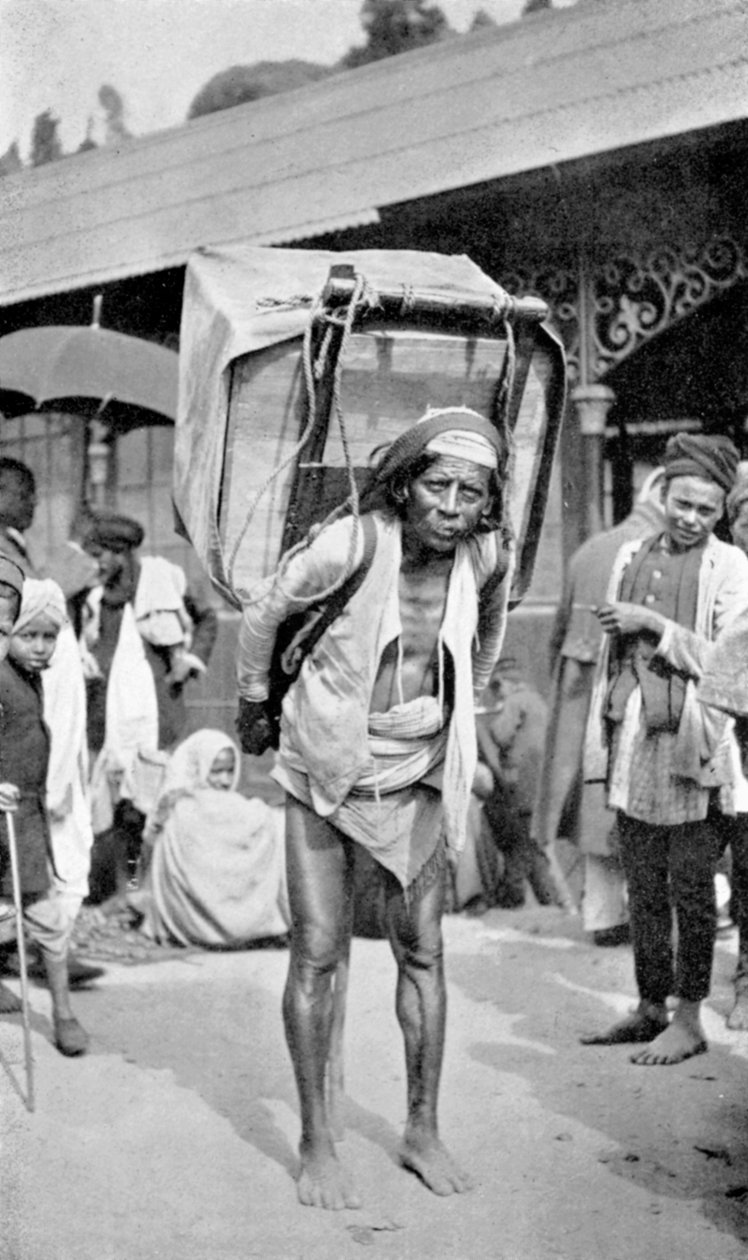 En arbetare som bär te, Darjeeling, Västbengalen, Indien, c1910 av Unbekannt