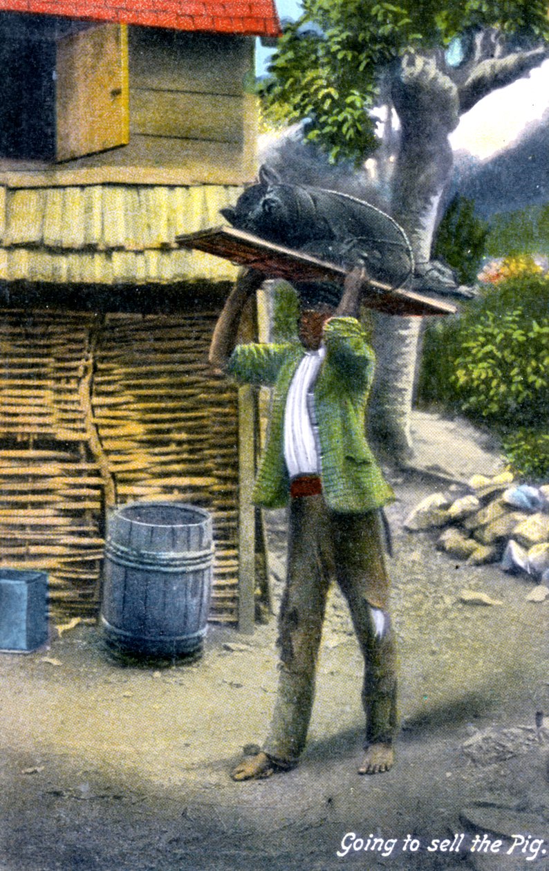 En man på väg till marknaden för att sälja en gris, Jamaica, ca 1900-talet av Unbekannt