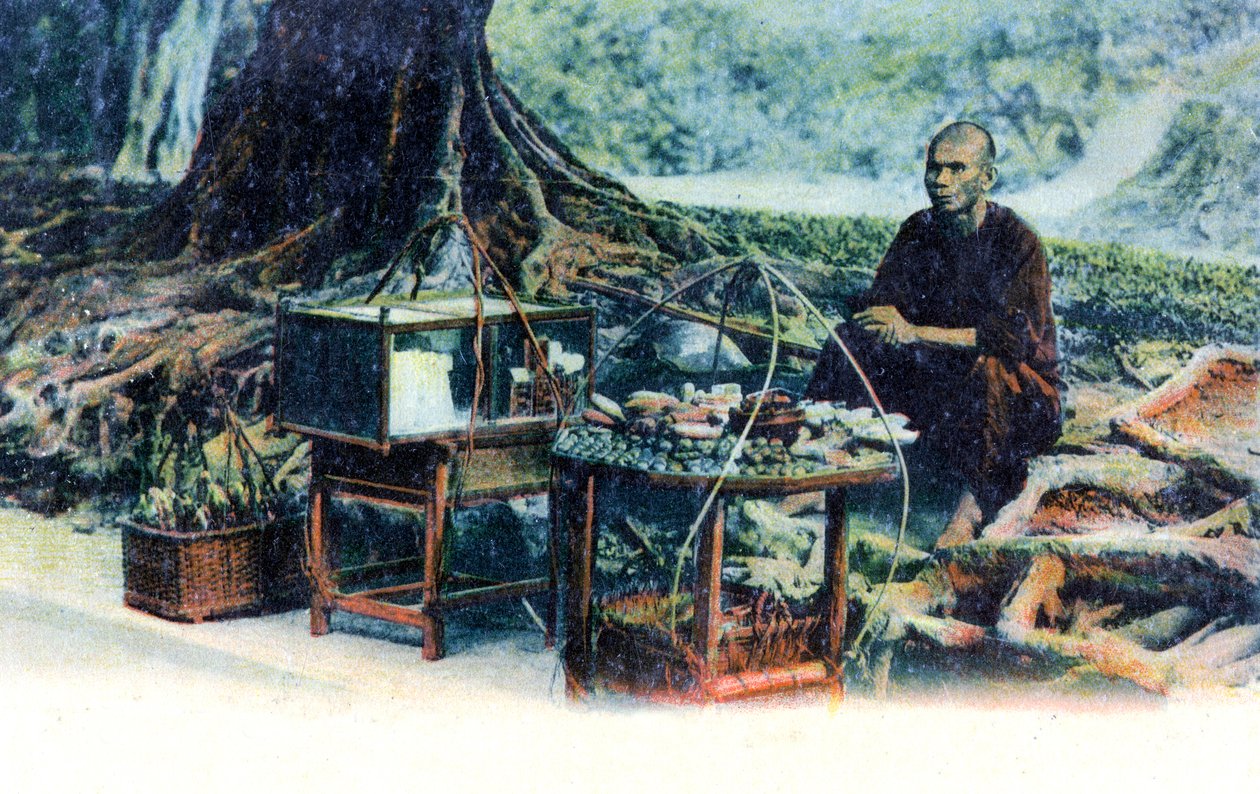 En man som säljer frukt under ett träd, Hong Kong, Kina, ca 1900-talet av Unbekannt