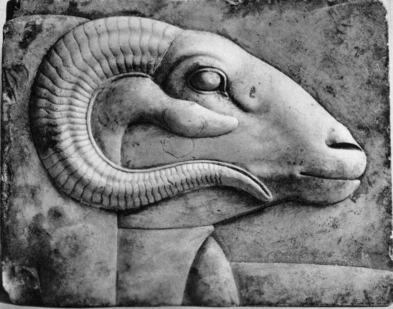 A bags head, Egypten, 1936 av Unbekannt