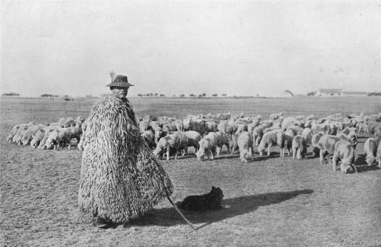 En typisk herde och hans flock på Ungerns slätter, 1915 av Unbekannt
