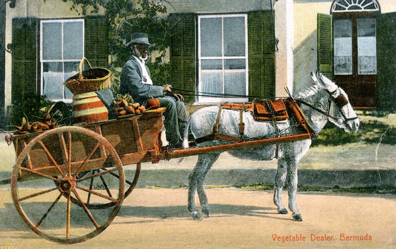 En grönsakshandlare, Bermuda, ca 1900-talet av Unbekannt