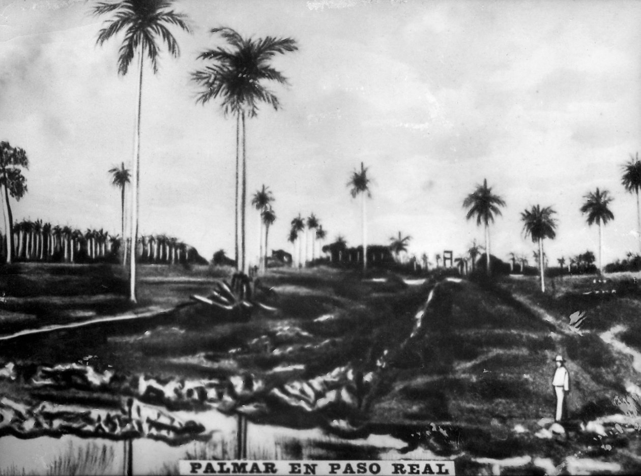 Accion of PasoReal, 1896, 1920-talet av Unbekannt