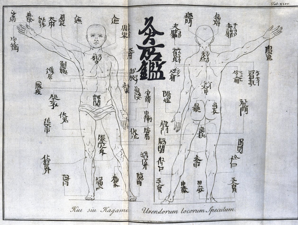 Akupunktur: karta över människokroppen som indikerar moxibustionspunkter, Japan (diagram relaterat till moxa, c 1690) av Unbekannt