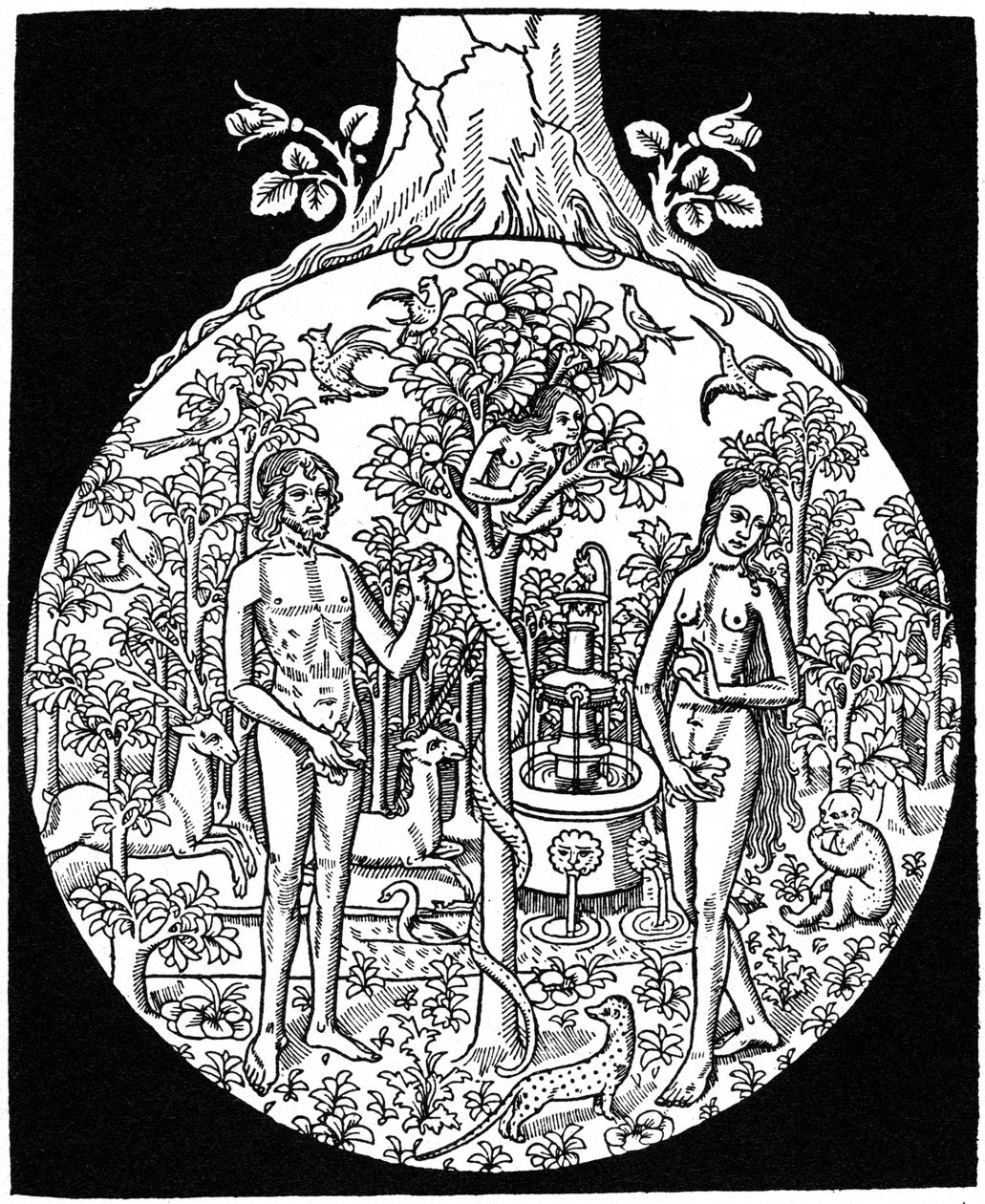 Adam och Eva, 1505 1964 av Unbekannt