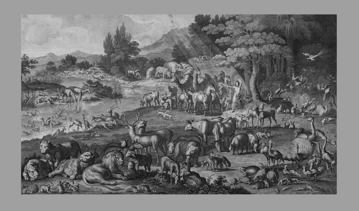 Adam namnger skapelsen, 1818. av Unbekannt