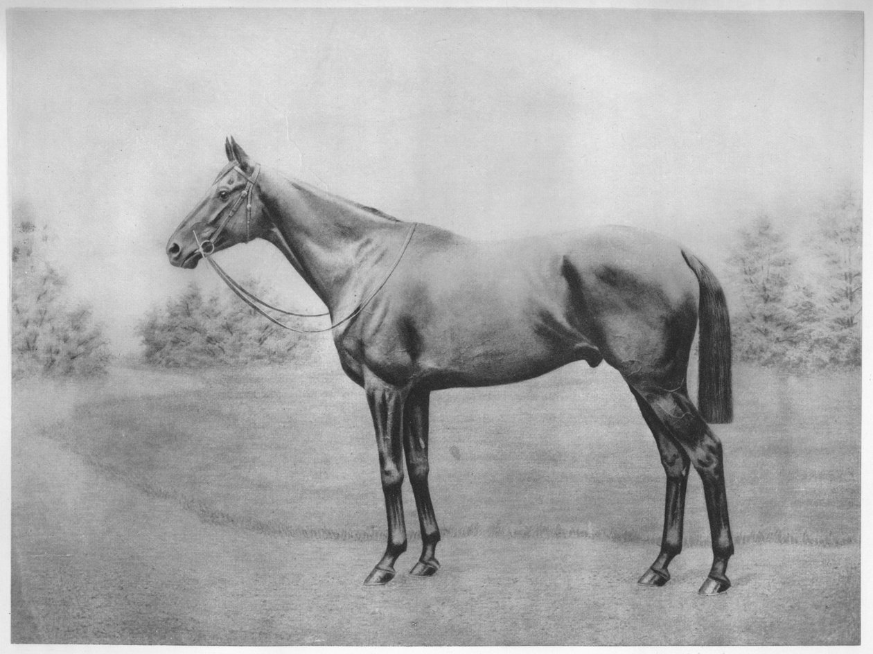 Amiral Togo III, 1911 av Unbekannt