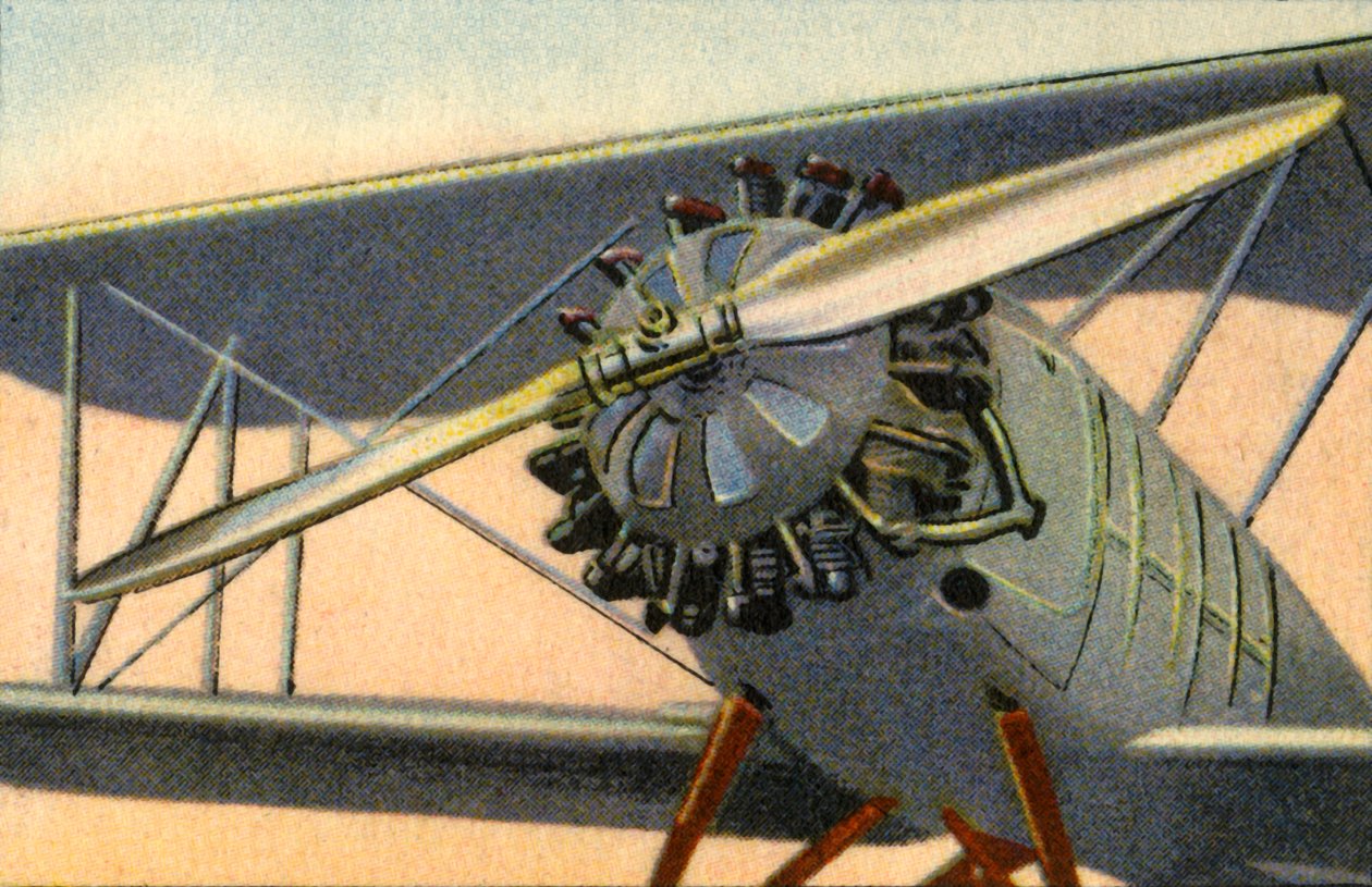 Aeron-Reed metallpropeller tillverkad av Heddernheimer Kupfer-Werk kopparverk, 1932. av Unbekannt