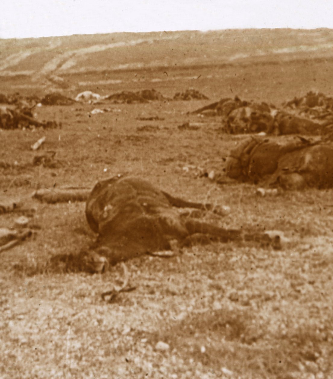 Efter anklagelsen, Beauséjour, norra Frankrike, c1914-c1918 av Unbekannt