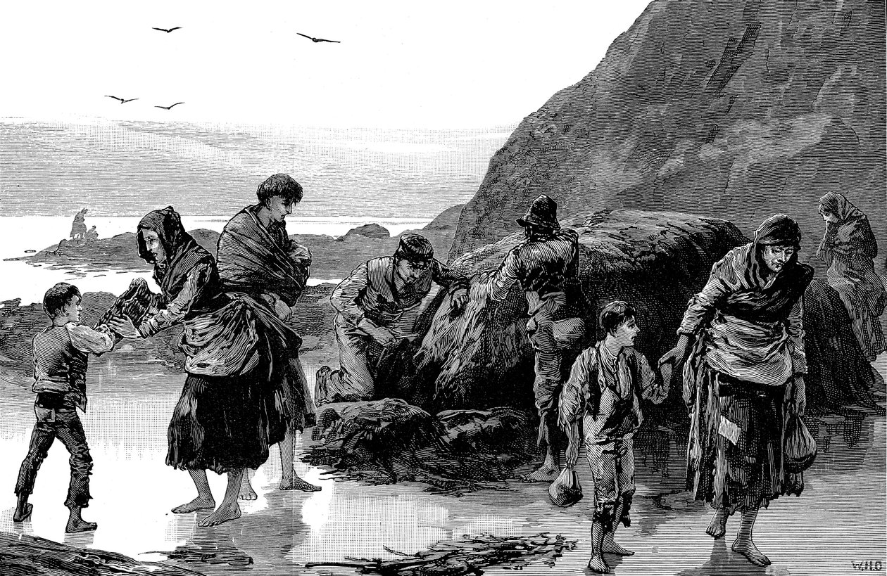 Efterdyningarna av hungersnöd, Irland 1840-talet, 1886 av Unbekannt