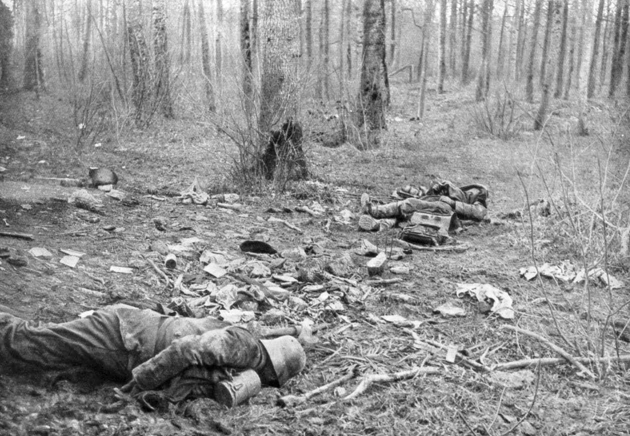 Efterdyningarna av striderna i parken Plessis-de-Roye, Picardie, Frankrike, 30 mars 1918 av Unbekannt